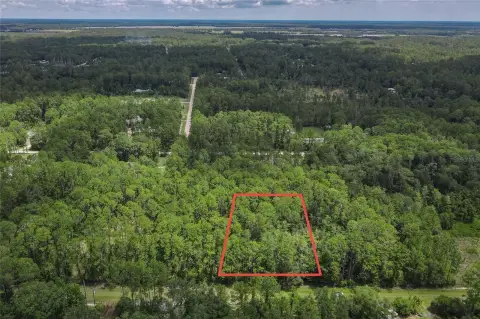 Undeveloped Land in Bunnell, Florida