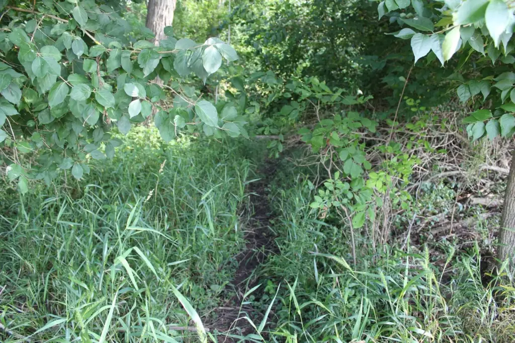 Picture 14