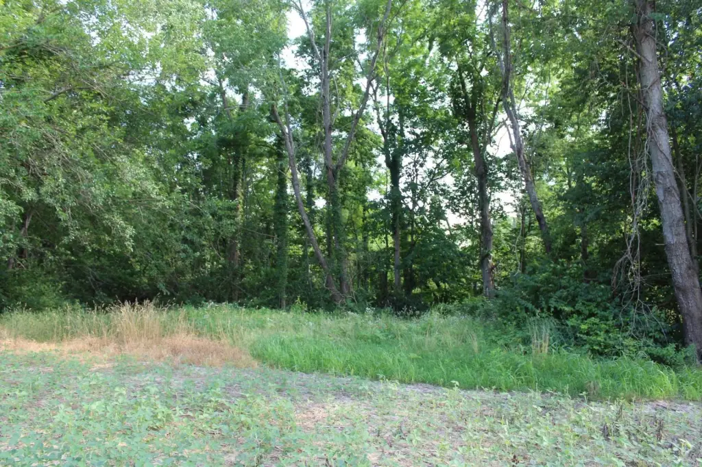Picture 27