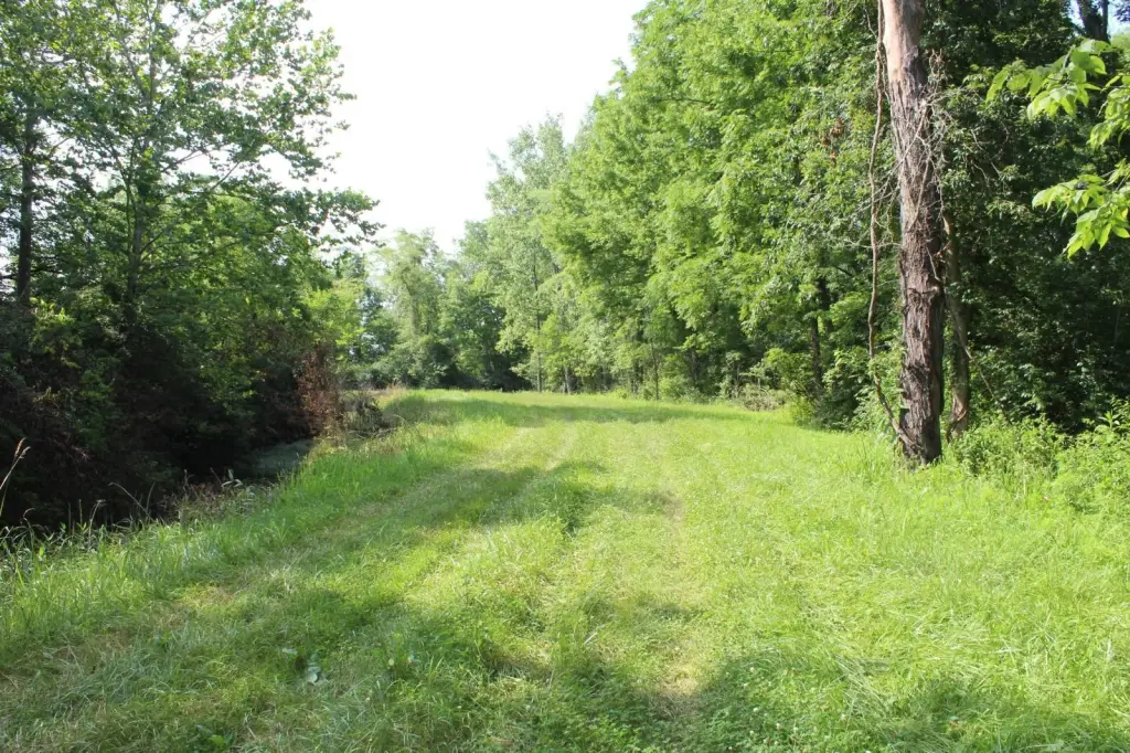 Picture 9