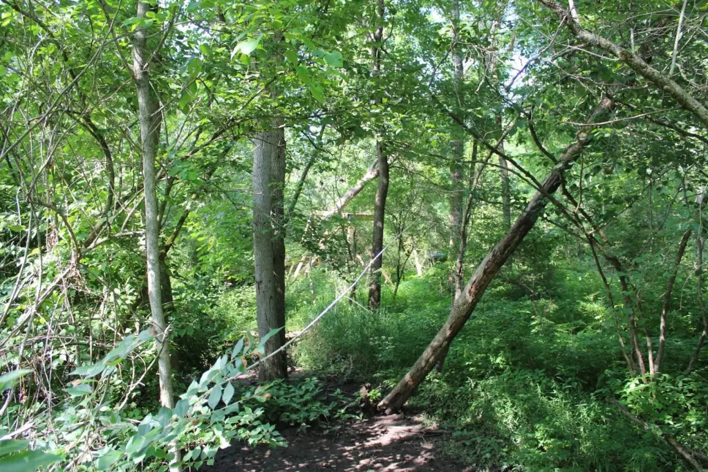 Picture 8