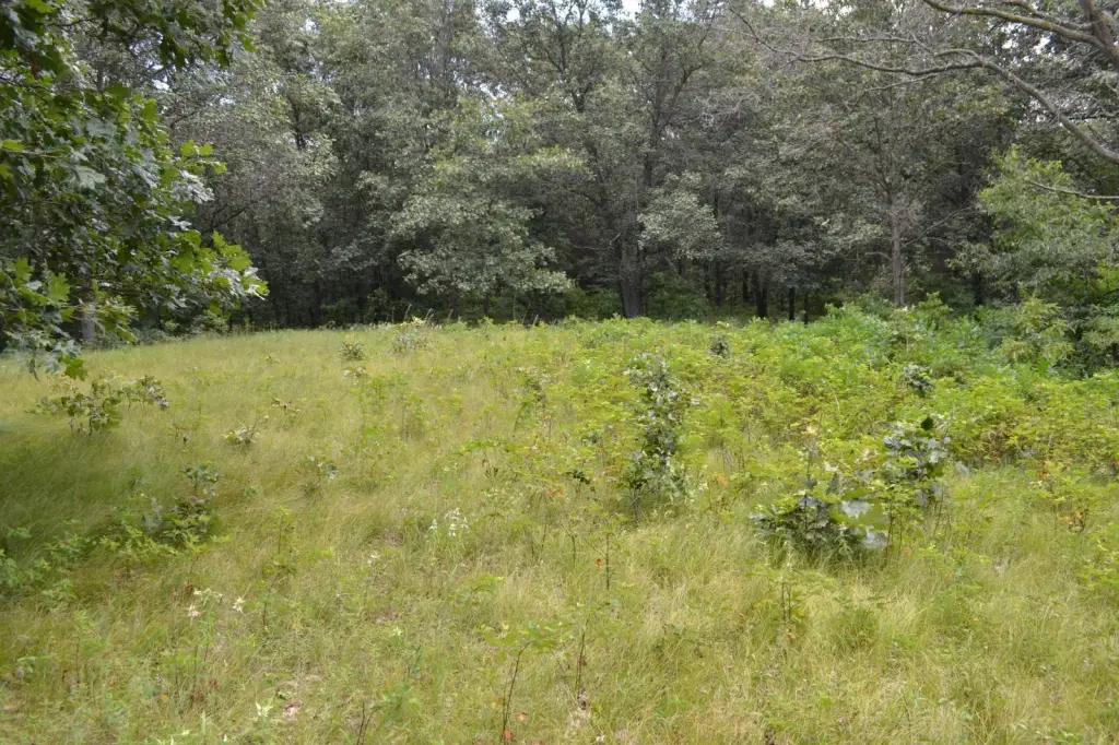 Picture 23