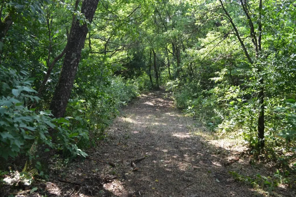 Picture 33