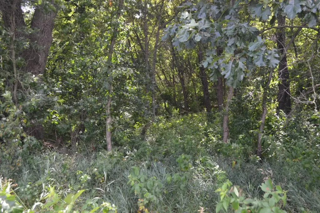 Picture 28