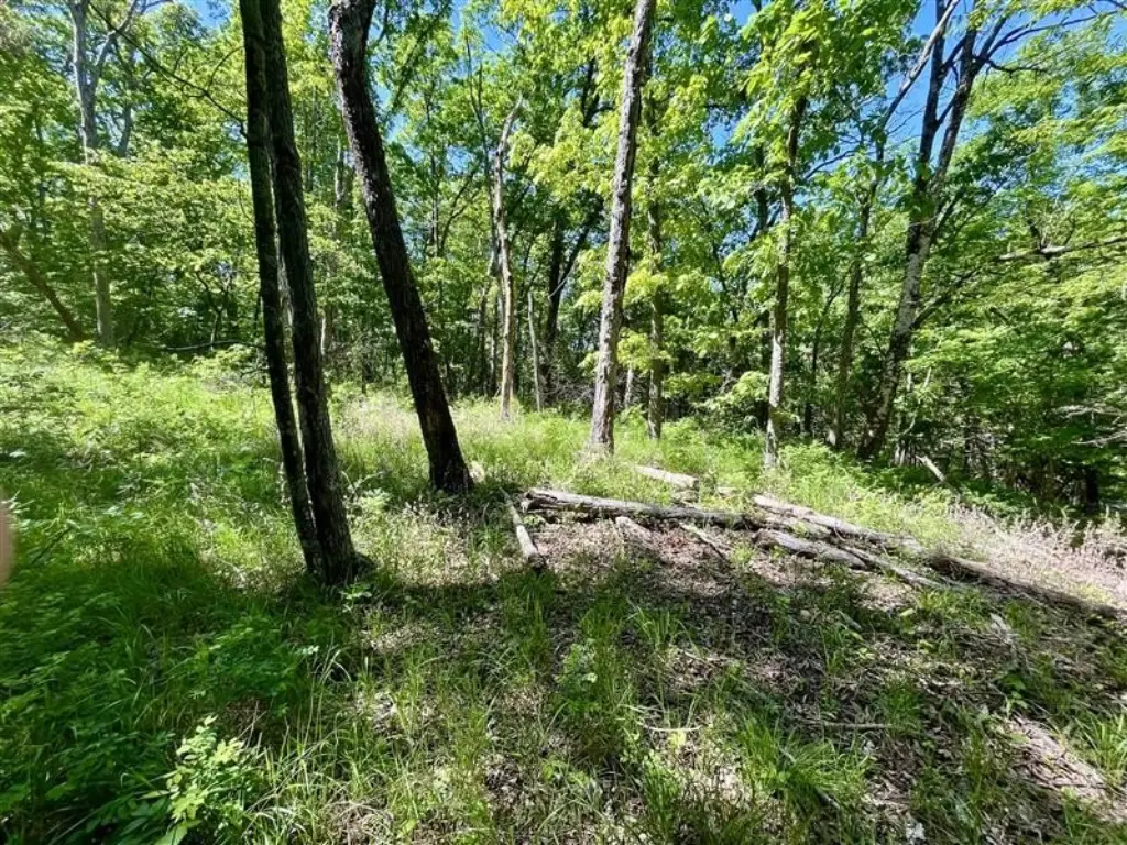 Picture 5