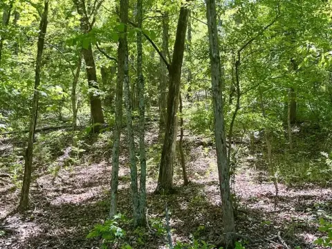 Residential Lot in Holiday Island