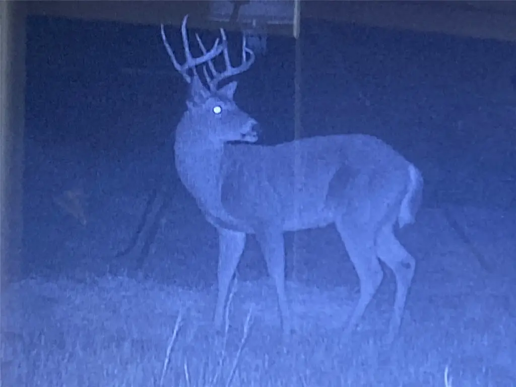 Picture 9