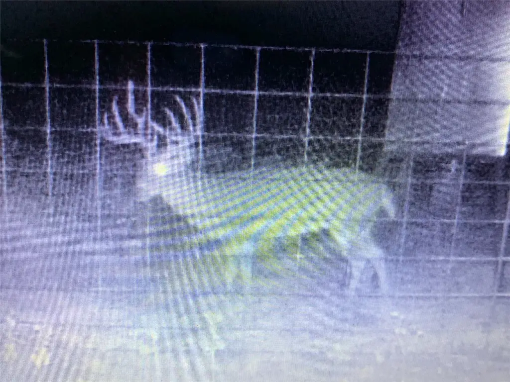 Picture 8