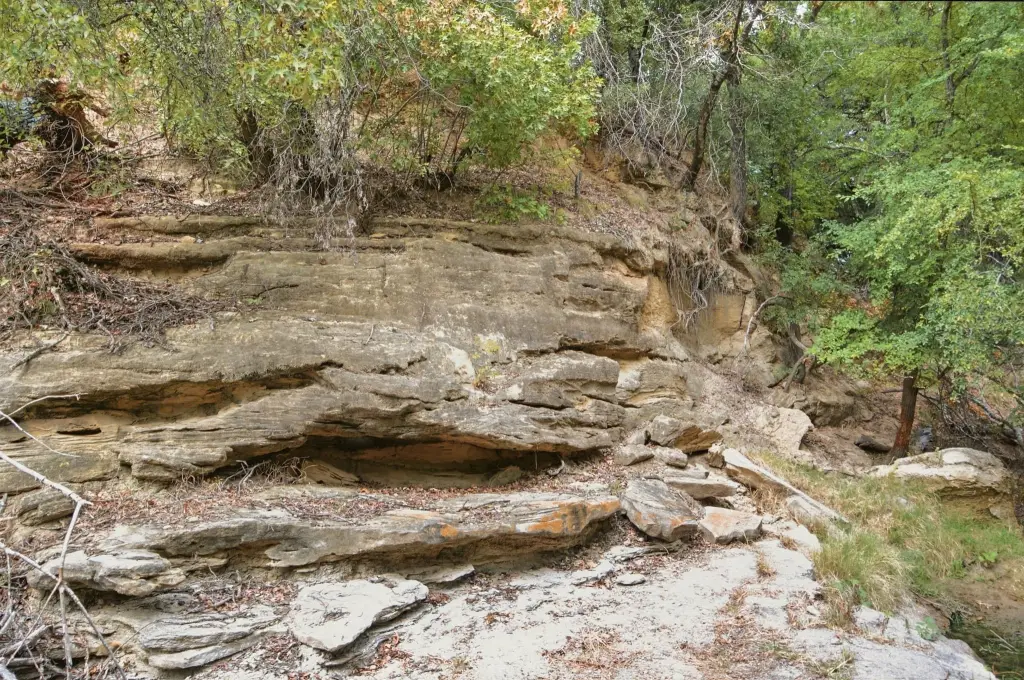 Picture 31