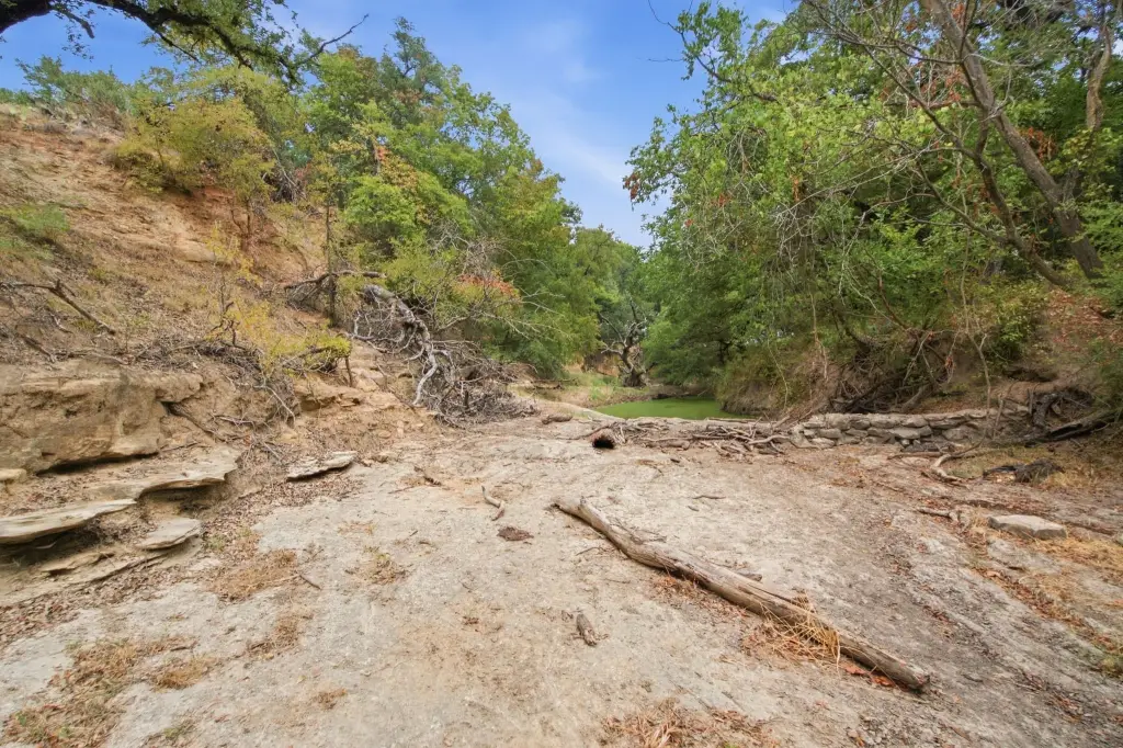 Picture 28