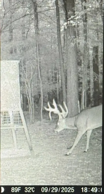 Picture 3