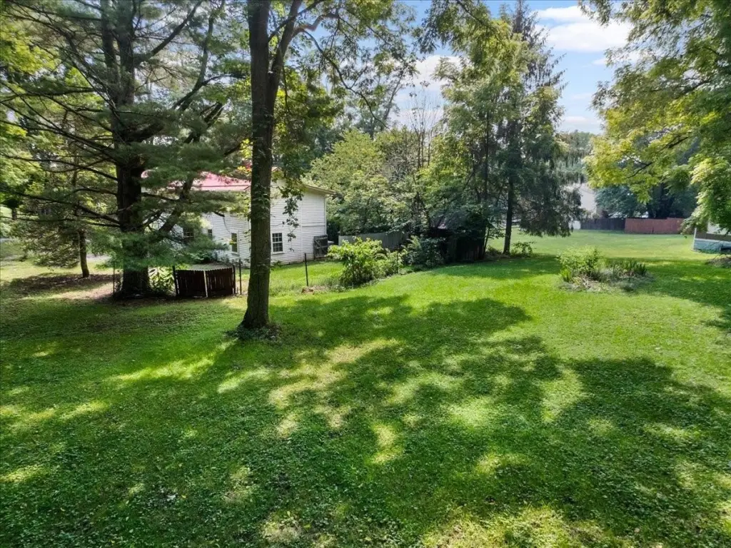 Picture 20