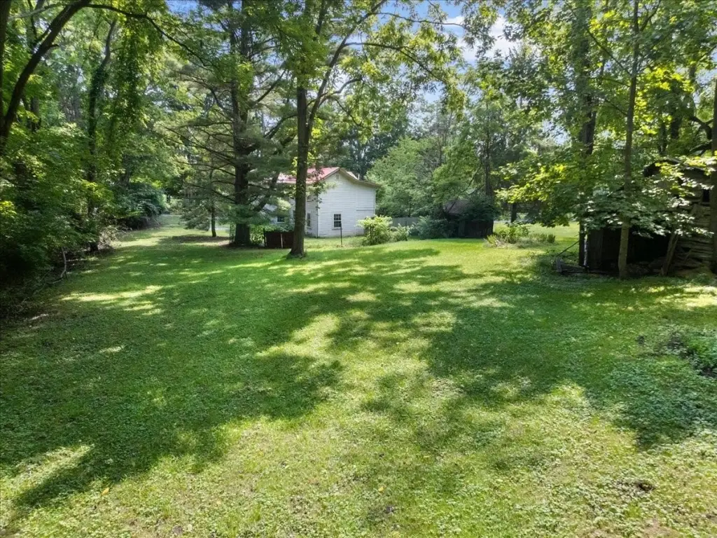 Picture 19