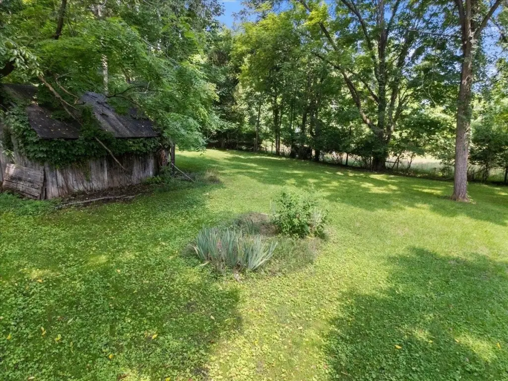 Picture 18