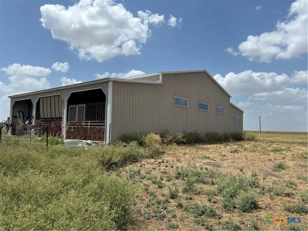 Picture 10