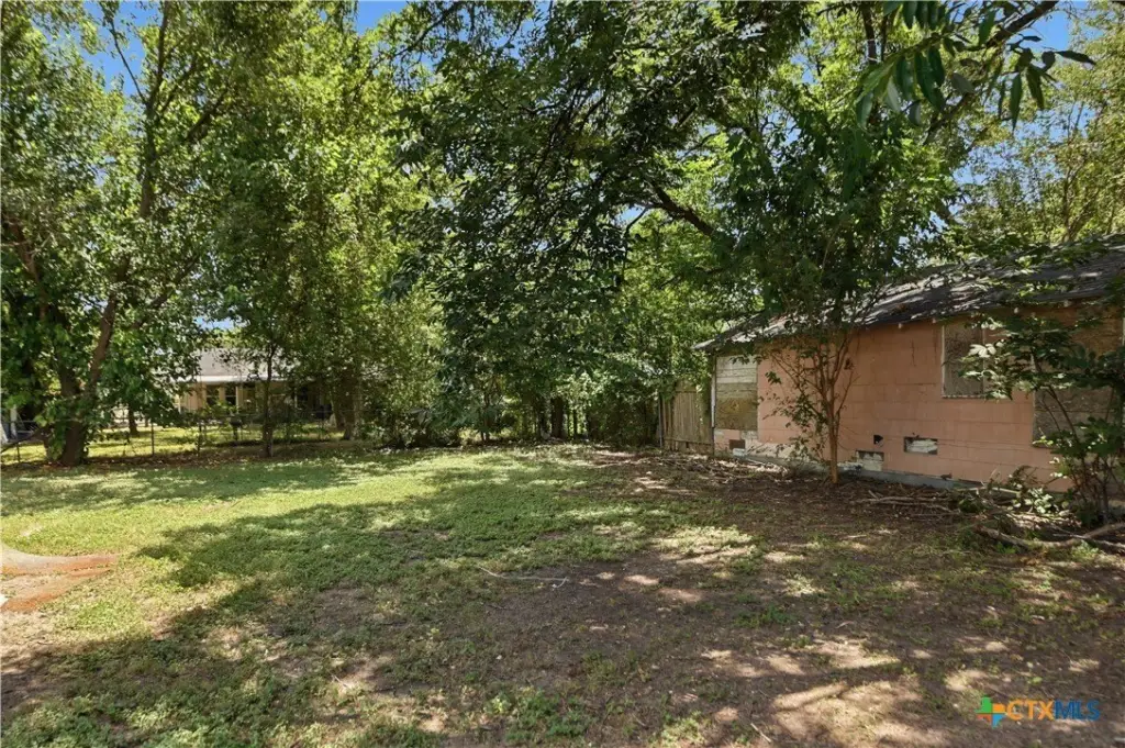 Picture 21