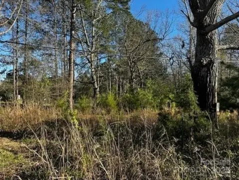 Catawba, SC 3.3 Acre Land