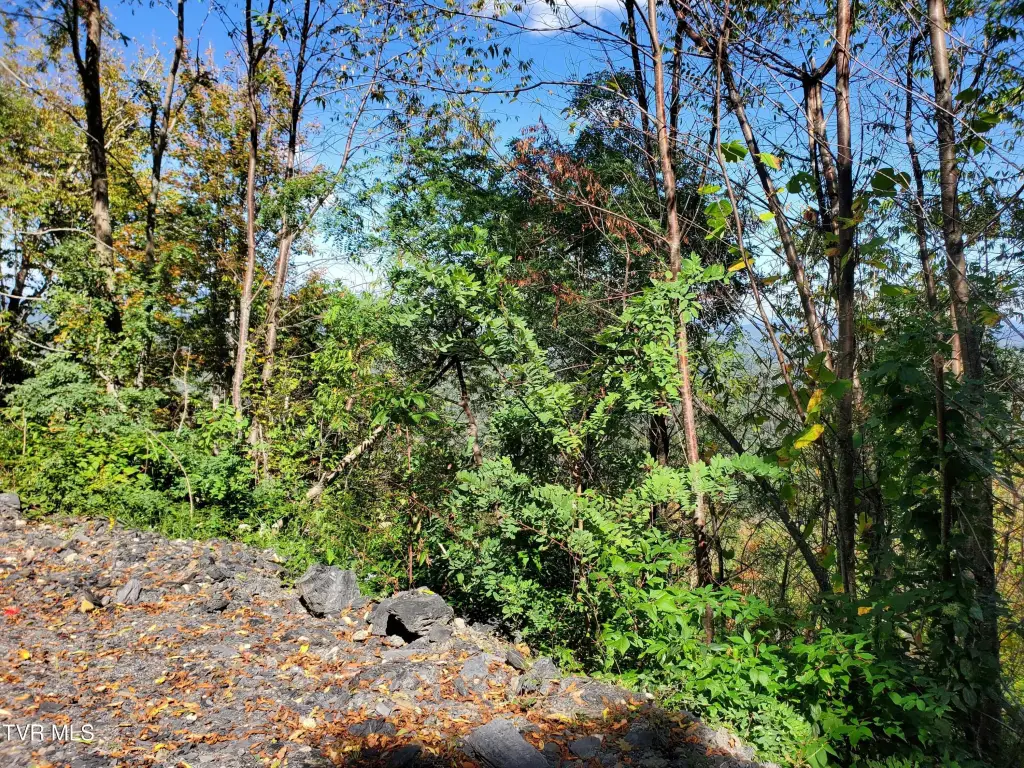Picture 37