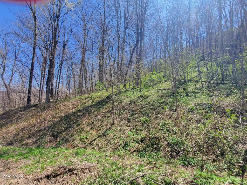 Picture 41