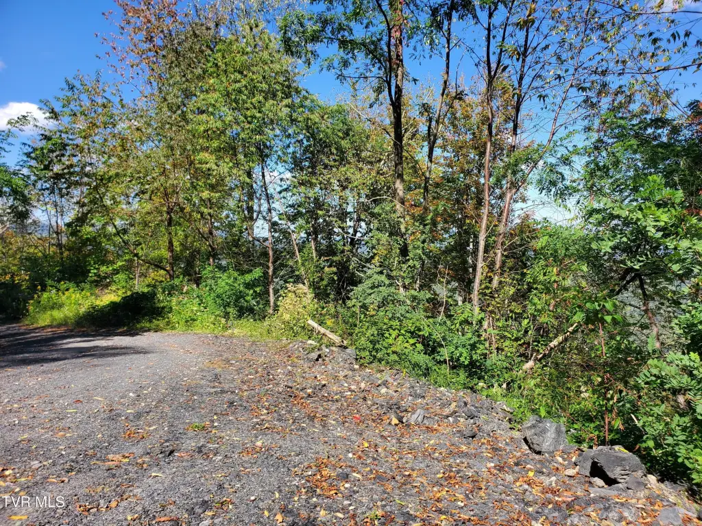 Picture 36