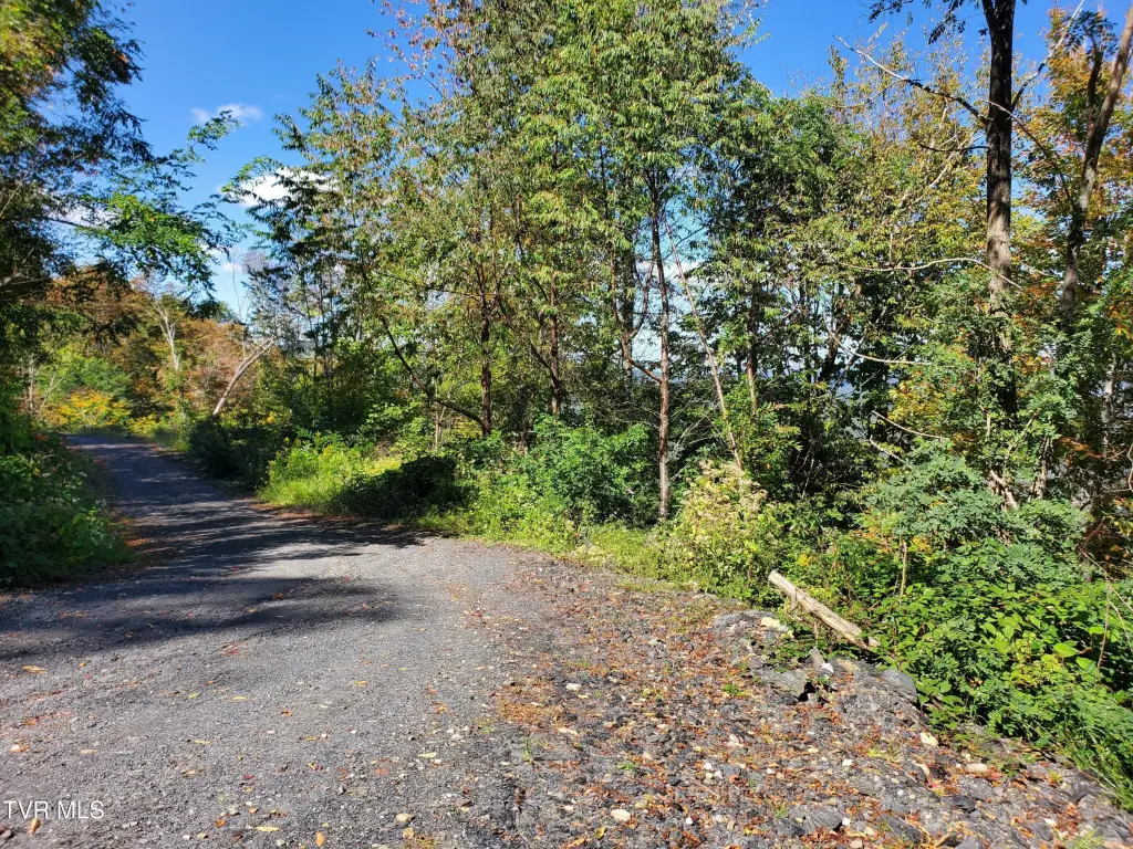 Picture 39