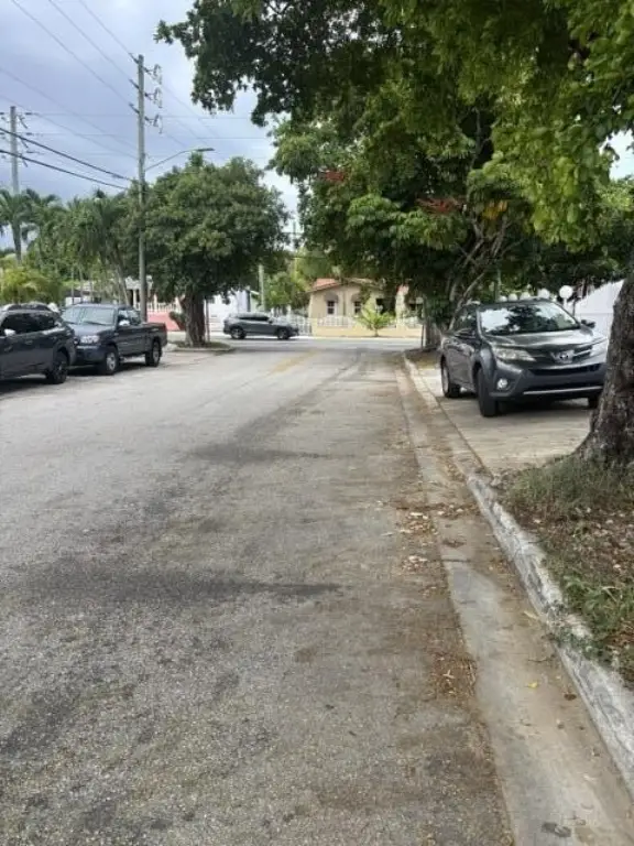 Picture 17