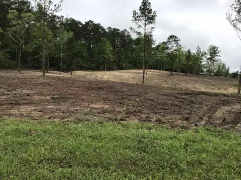 Cleared Land Near Lake