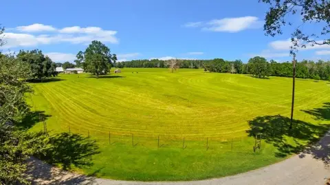 East Texas Countryside Acreage