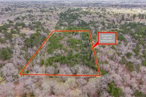 Lufkin Wooded Acreage Opportunity
