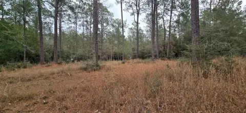 Rayburn Country Resort Land