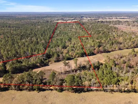 East Texas Farmland with Pond