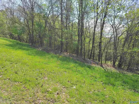 Scottsboro Acreage with Water Access