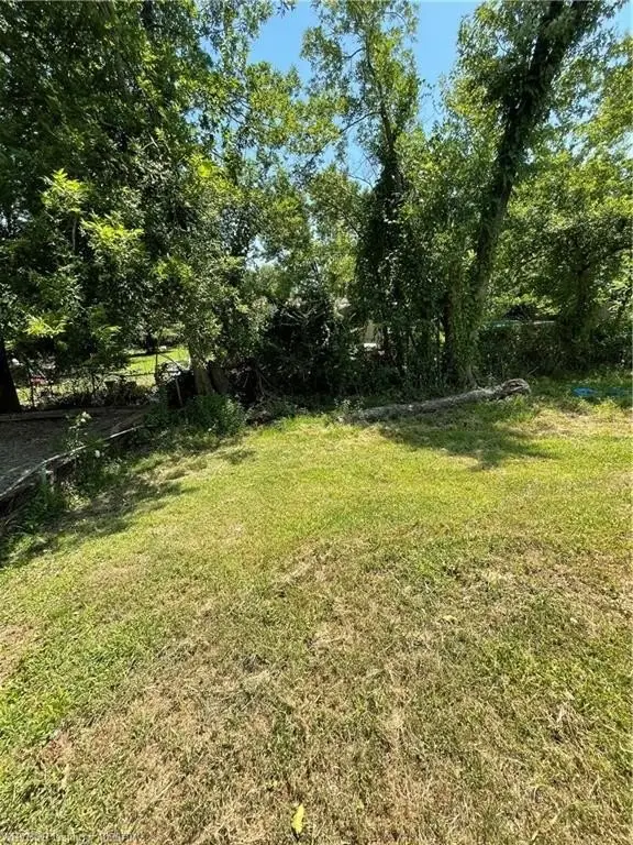Picture 8