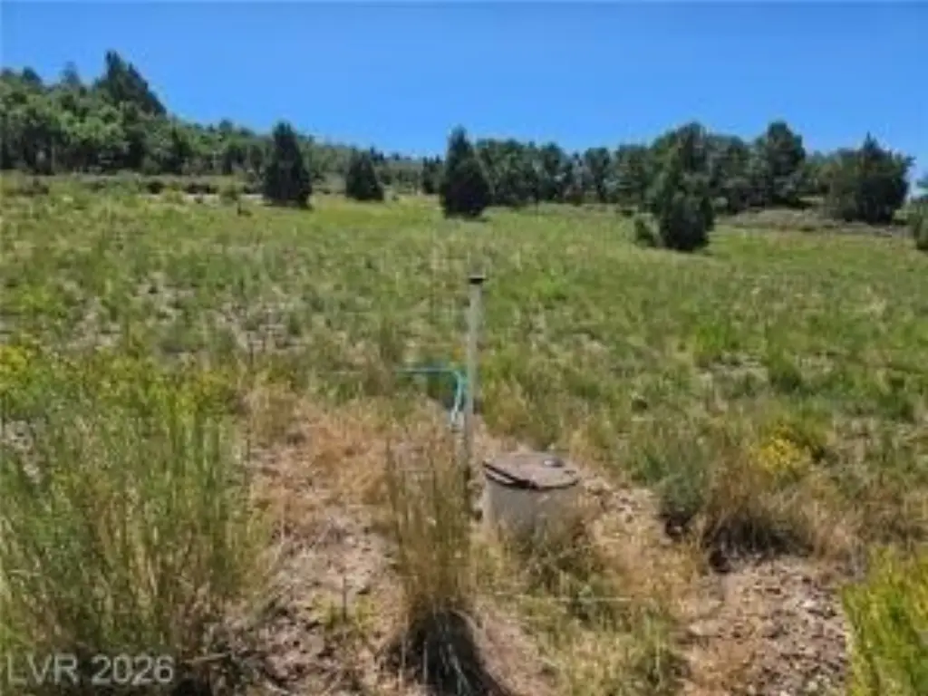 Picture 36