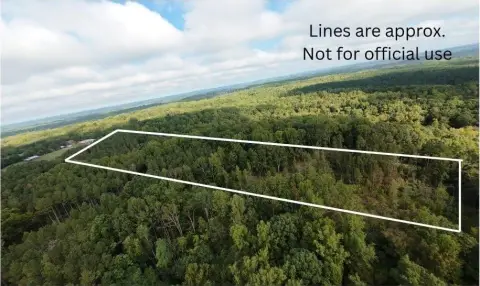 31 Acres of Wooded Land