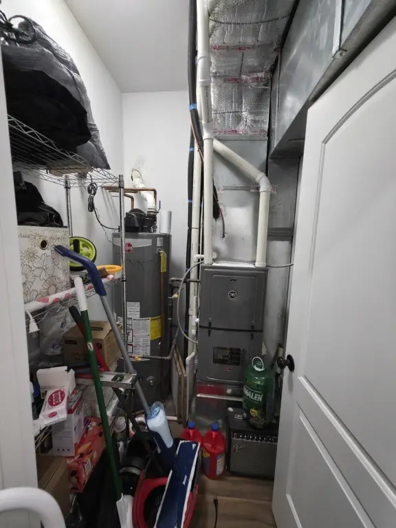 Picture 19