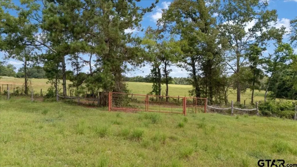 Picture 28