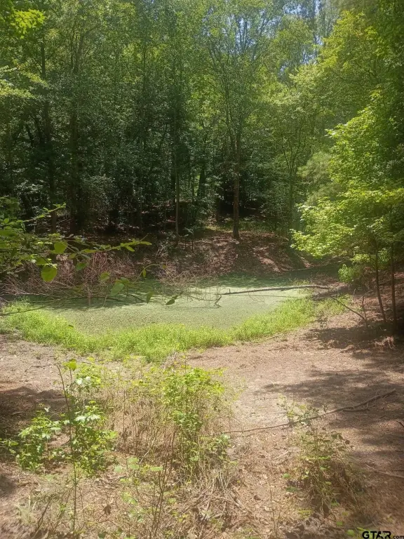 Picture 8