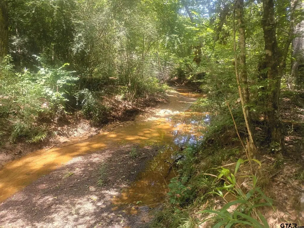 Picture 3
