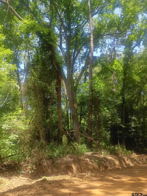 Picture 6