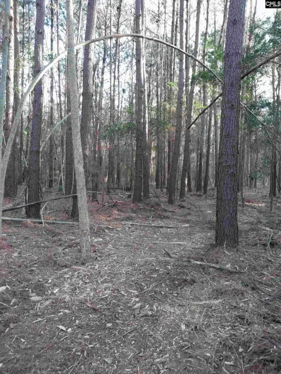 Picture 8