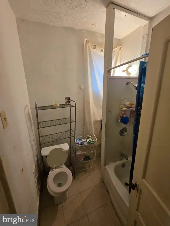 Picture 3