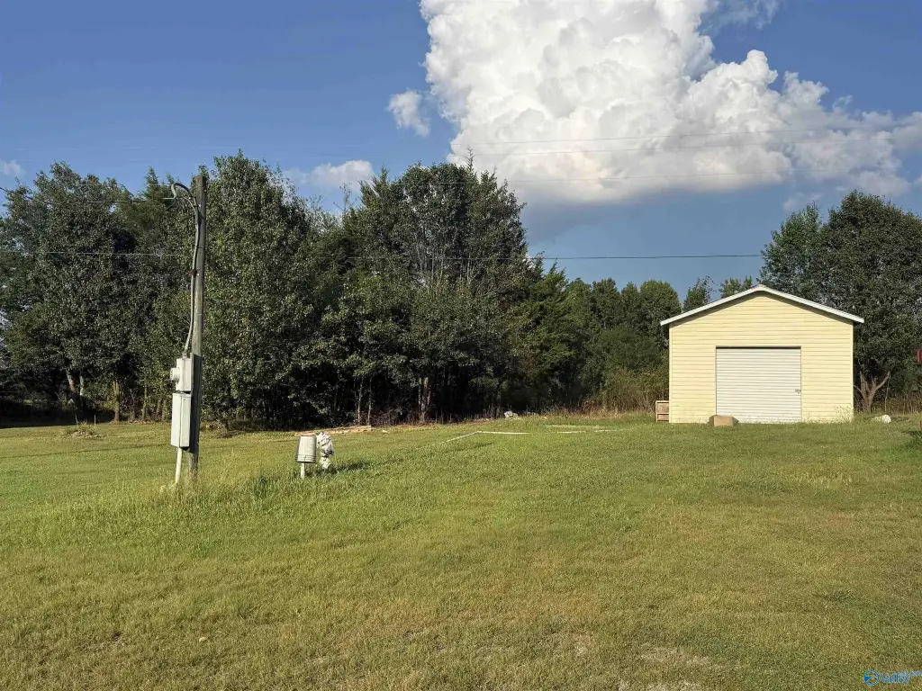 Picture 21
