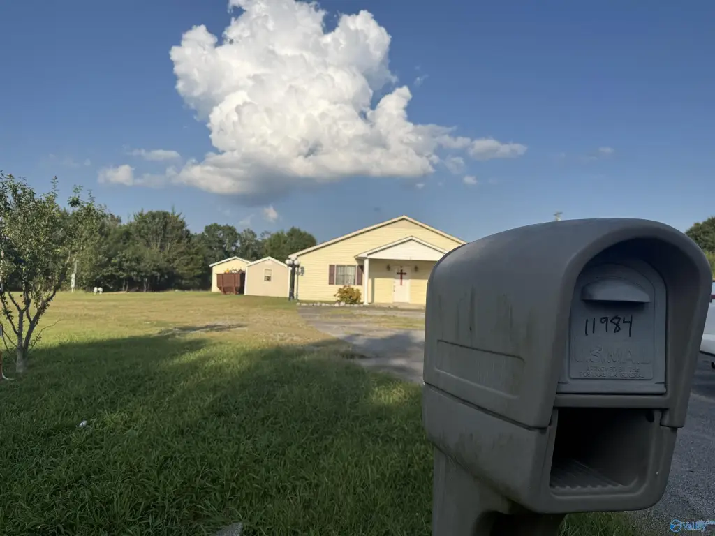 Picture 25