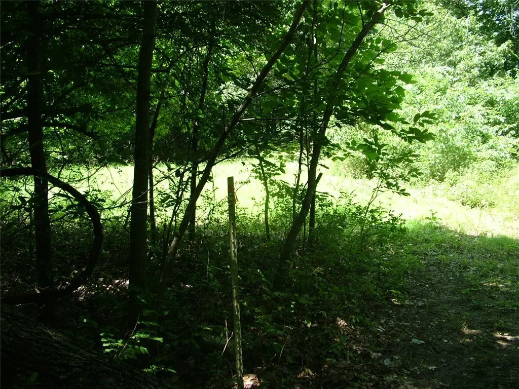 Picture 14