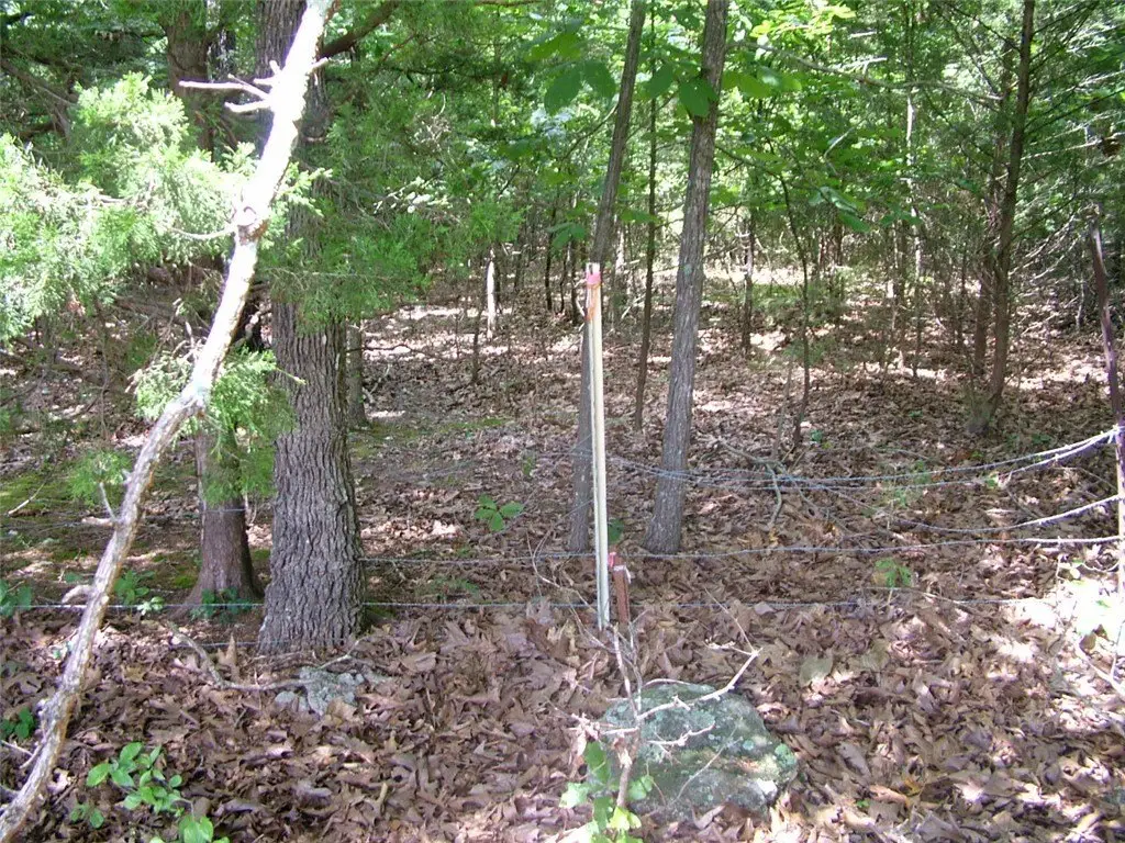 Picture 13