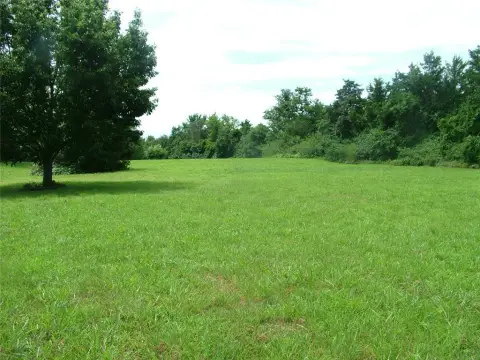 Mostly Cleared Residential Land