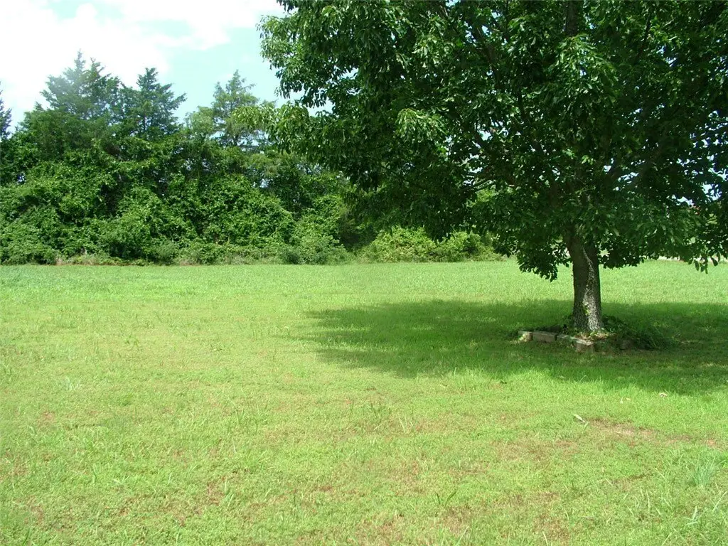 Picture 3