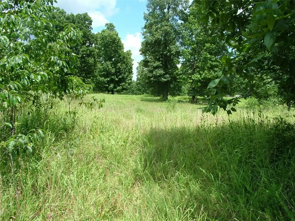 Picture 11