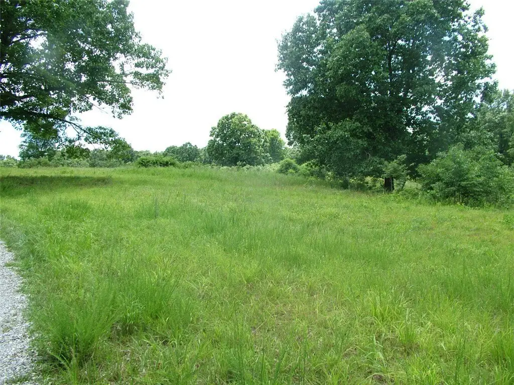 Picture 12